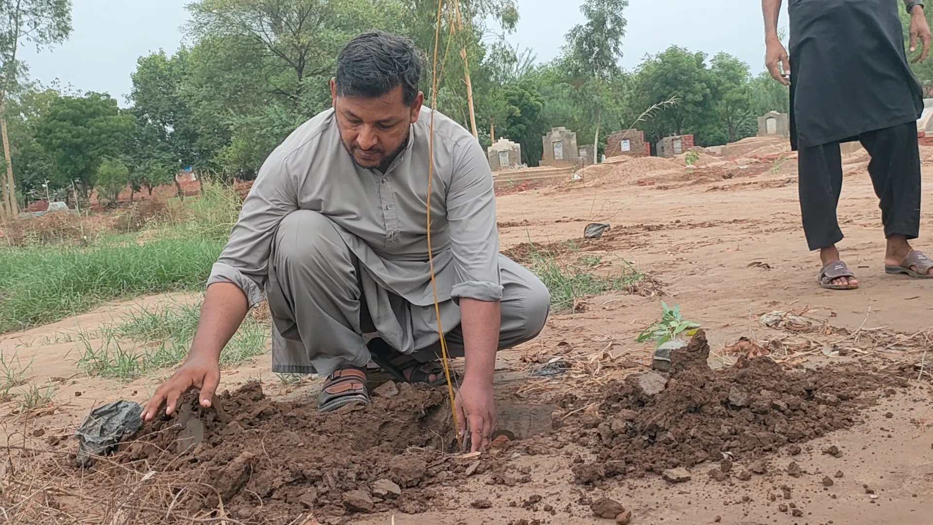 Green Seekers Activity